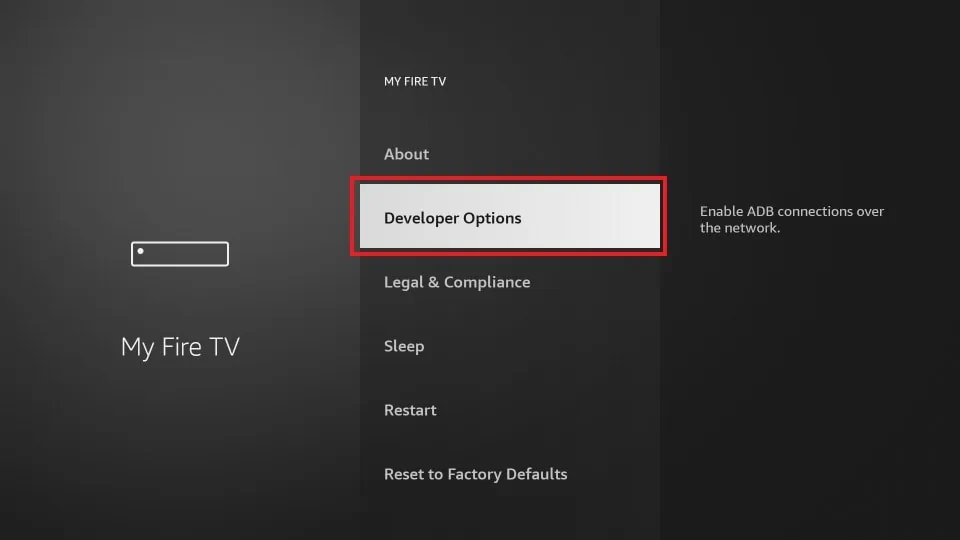 Click on Developer Options to download Lemo TV